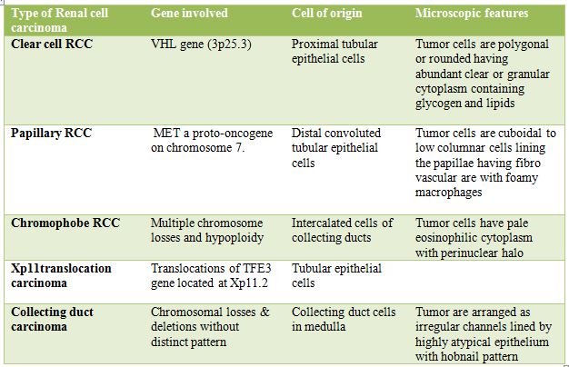 Renal Cell Carcinoma Histopathologyguru 5343