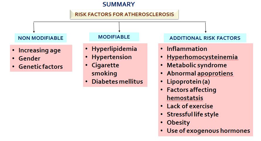 Atherosclerosis – Risk Factors And Complications – Histopathology.guru