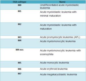 Fab Classification Aml Histopathology Guru