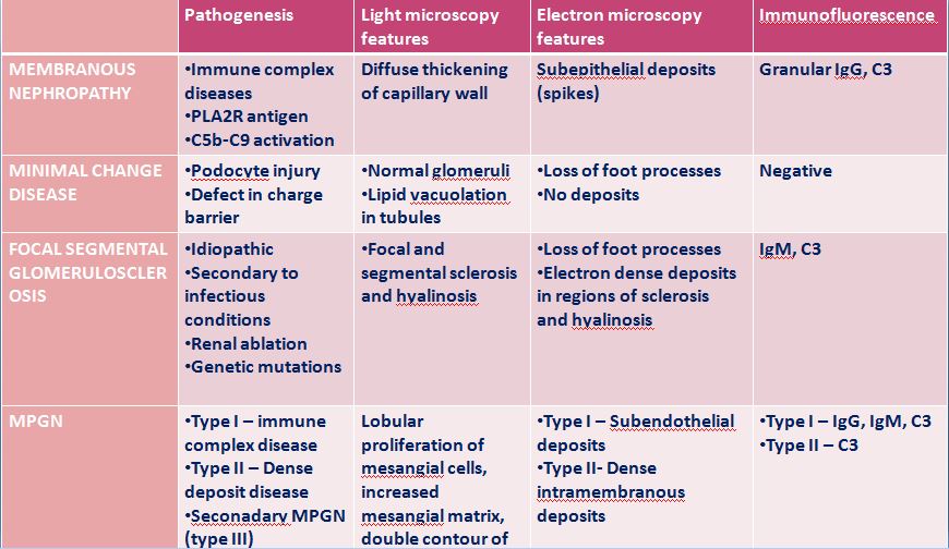 PATHOPHYSIOLOGY OF NEPHROTIC SYNDROME – Histopathology.guru