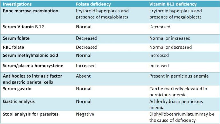 megaloblastic-anemia-peripheral-smear